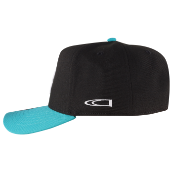 Gorra Crowdead Panthone Snapback