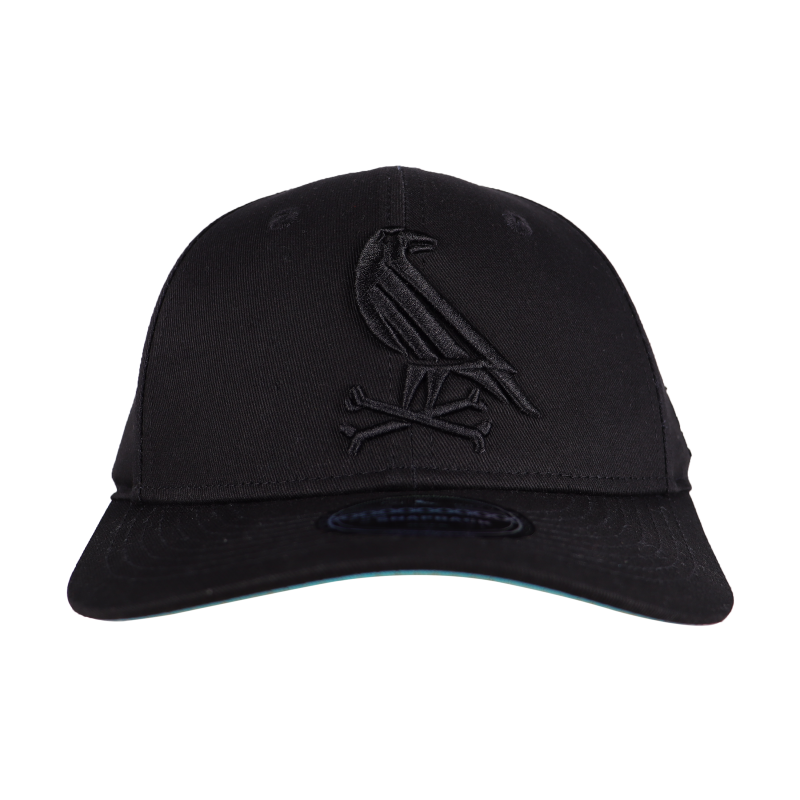 Gorra Cold Snapback