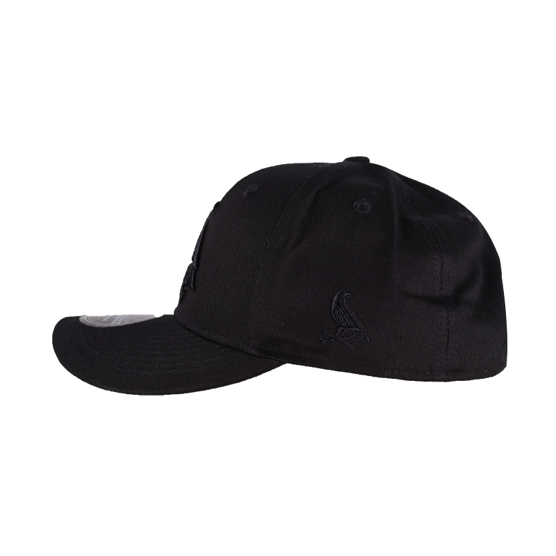 Gorra Cold Snapback