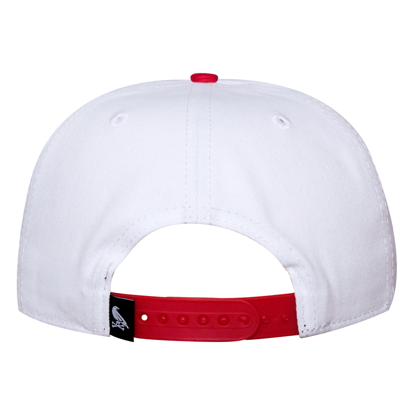Gorra Venados Flame Snapback
