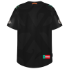 Jersey CRW-LeoneX