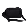 Crossbody Crow